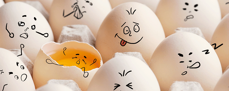 “蛋” 求无愧于心